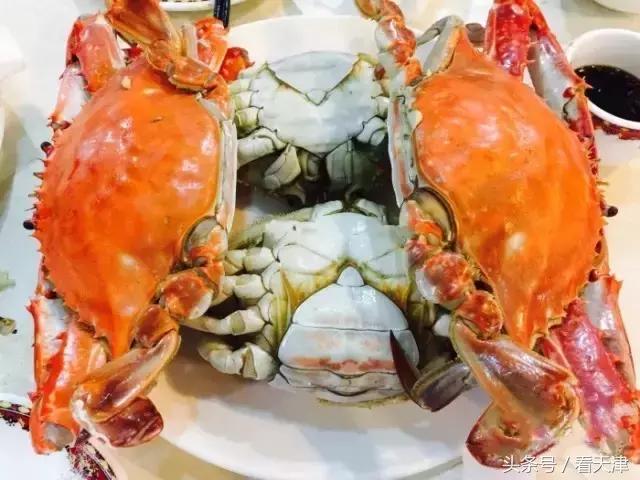 开海啦一大波生猛海鲜汹涌来袭,天津开海后的第一波海鲜