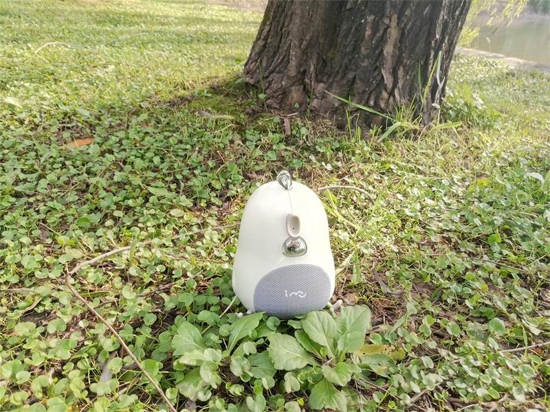 骞诲搷灏忓悏鎷嗚В,骞诲搷灏忓悏娴嬭瘎