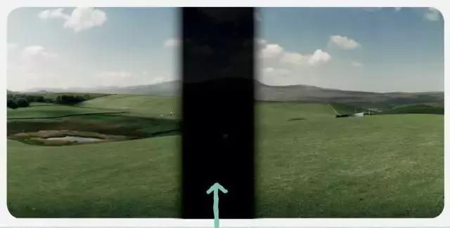 马的两侧眼睛是什么视角,马的眼睛长在两边能看见前面吗