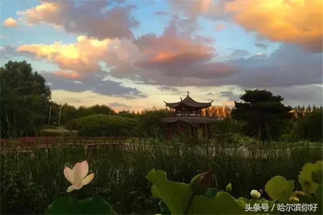 哈尔滨最舒服大厅,哈尔滨哪个区住店便宜