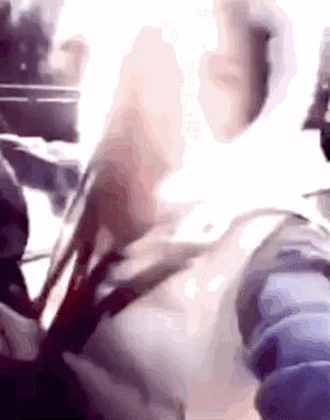 中国人对历史的误解,中国人对于外国文化的误解