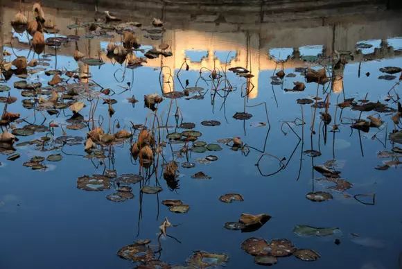 经典秋韵,独一无二的秋韵