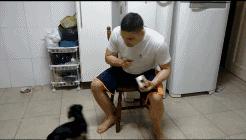 英斗除了吃就是睡,英斗为什么那么傻还那么能打架