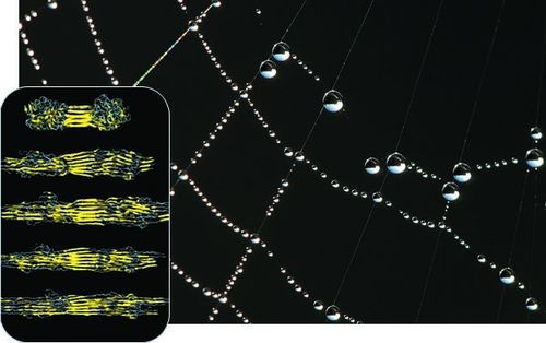 蜘蛛侠英雄归来里的黑蜘蛛战衣,蜘蛛侠英雄归来蜘蛛侠穿蜘蛛侠战衣