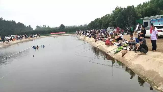 行营钓鱼比赛现场直播,行营钓鱼节