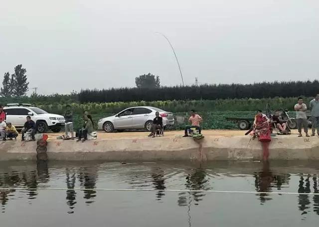 行营钓鱼比赛现场直播,行营钓鱼节