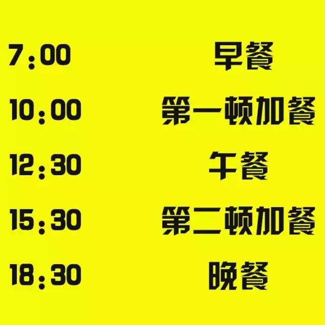 减肥食谱简单方便的表格,减肥瘦身计划食谱