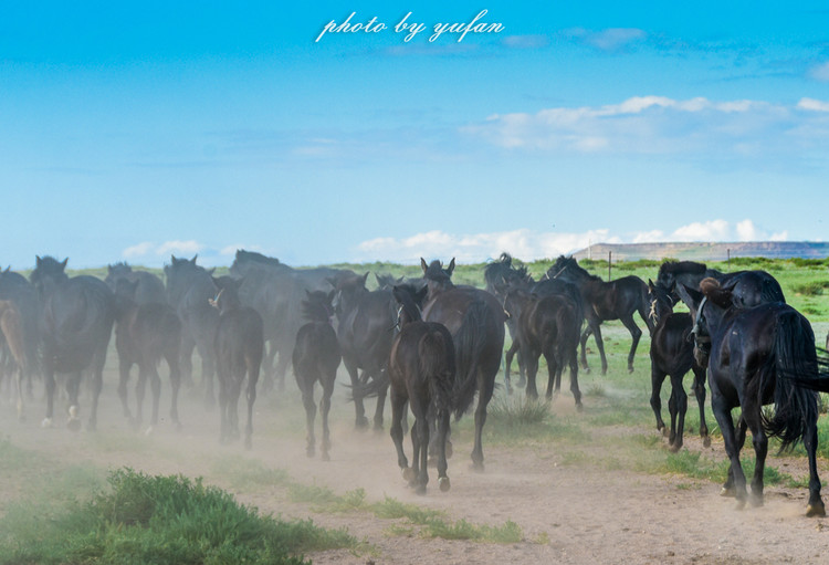 五一锡林郭勒游玩,几月份游锡林郭勒适合