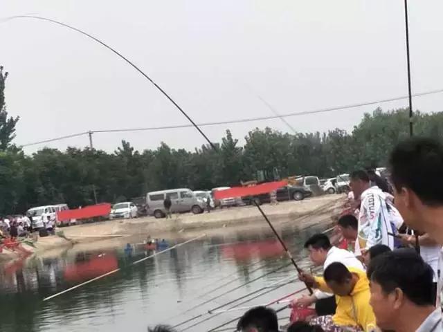 行营钓鱼比赛现场直播,行营钓鱼节