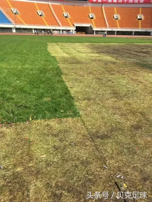 歌神侵袭圣朱雀，双流请准备