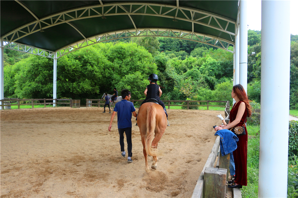 嘉兴南北湖农家乐推荐,嘉兴南北湖农家
