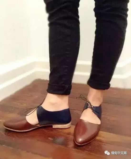 洋葱近几年的价格,洋葱的价格会涨价吗