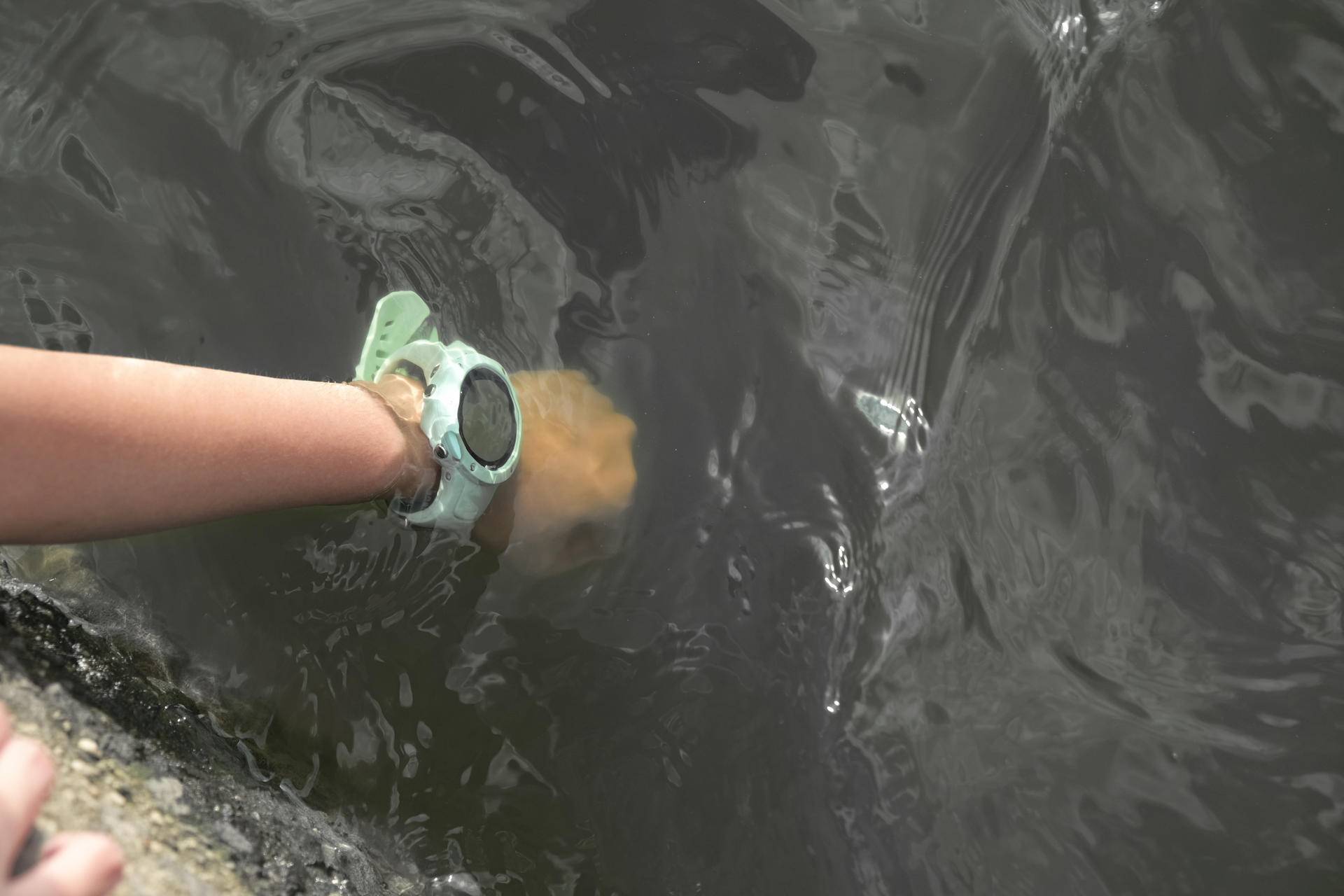 颂拓核心测评,颂拓spartansportwhr多少钱