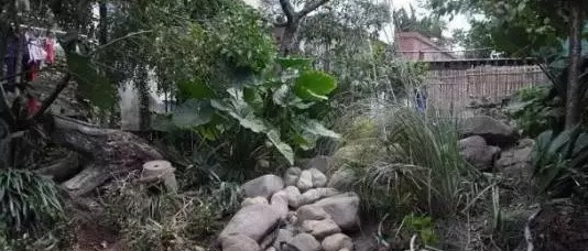 不养龟怎么知道养龟人的乐趣,你没养过狗永远不知道养狗的快乐