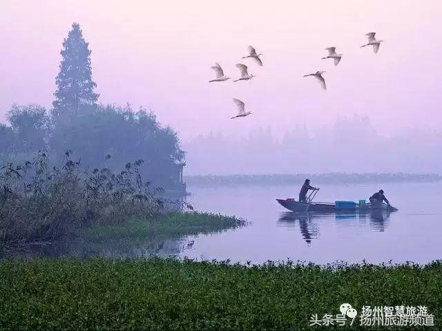 扬州农家乐游玩攻略,扬州十大最美农家乐