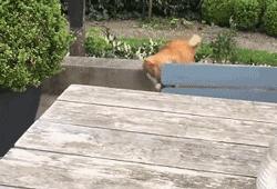 大姐一屁股坐在我腿上，足足坐了20分钟