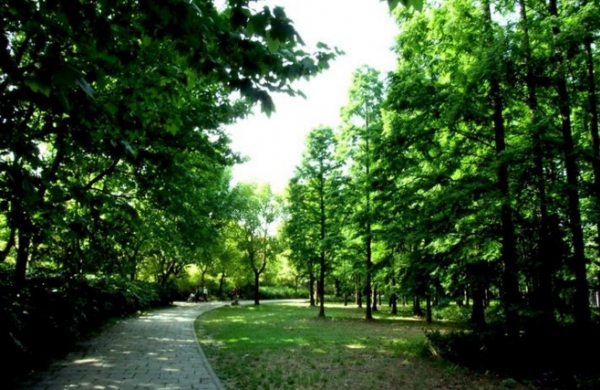 释放孩子天性真的好吗,释放孩子压力