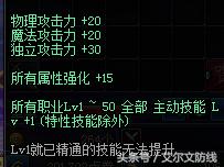 帕拉丁新人装备,dnf新职业帕拉丁技能加点