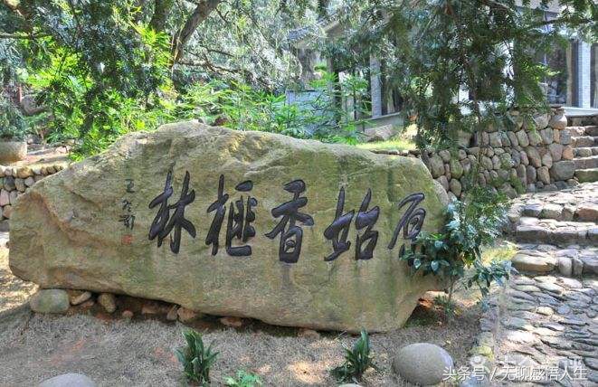 中国百强县排名绍兴,浙江诸暨市是全国百强县市第几名