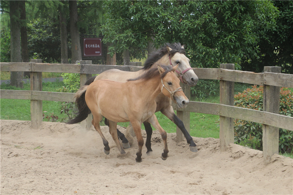 品农家菜肴田园生活,嘉兴南北湖农家乐推荐