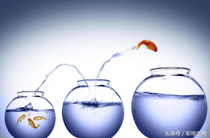 如何搞定霸道上司,职场上遇到这种极品上司怎么处理