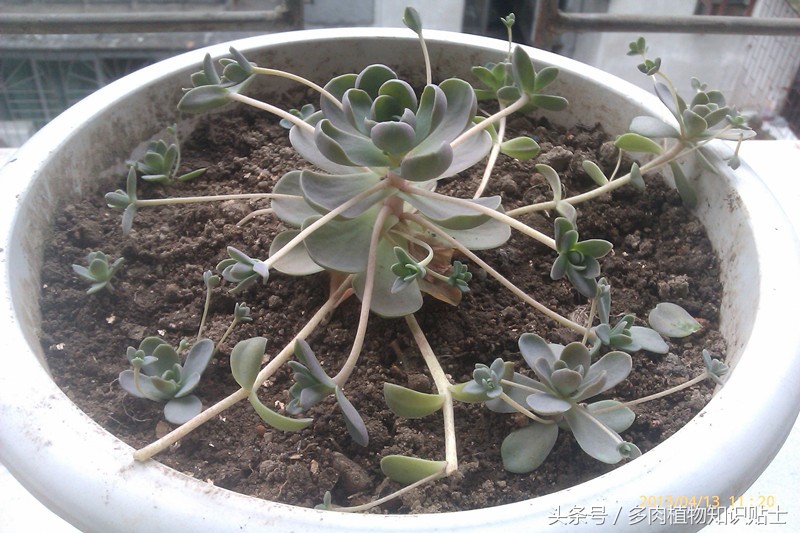 数不尽的岁月,数不尽的岁月的沉淀