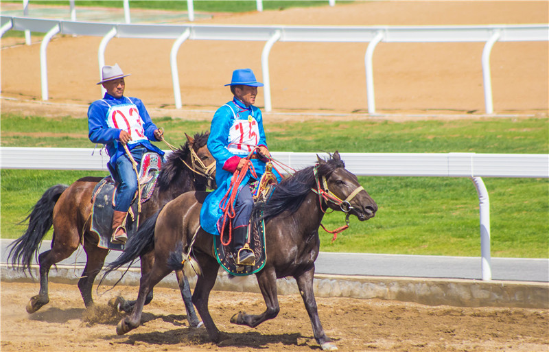 肃北七彩花海,肃北百亩花海在哪里