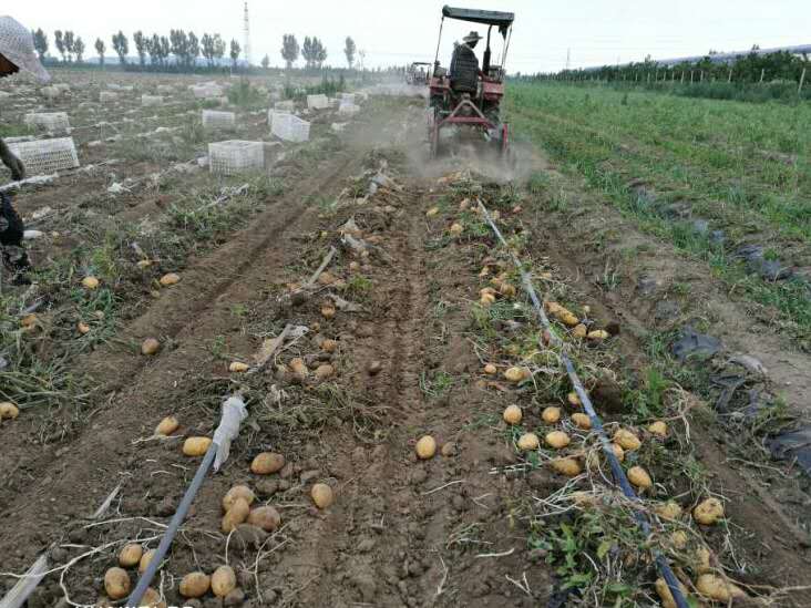 清田全生物可降解地膜,清田地膜