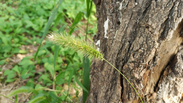 全面屏mix2,小米mix2最全评测