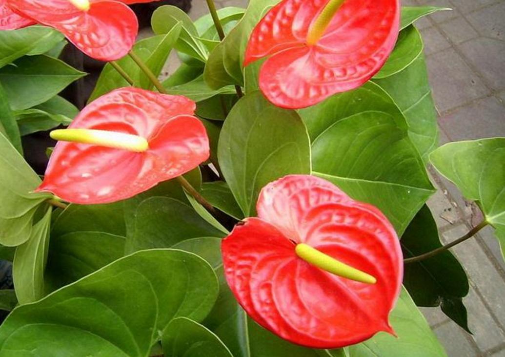 做人要有心机文案,做人要有心机视频