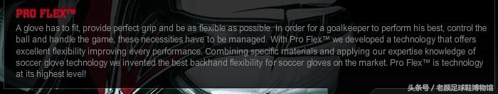 鐐┌reusch闂ㄥ皢鎵嬪silver,鐐┌reuschspeedBump瀹炴垬娴嬭瘎