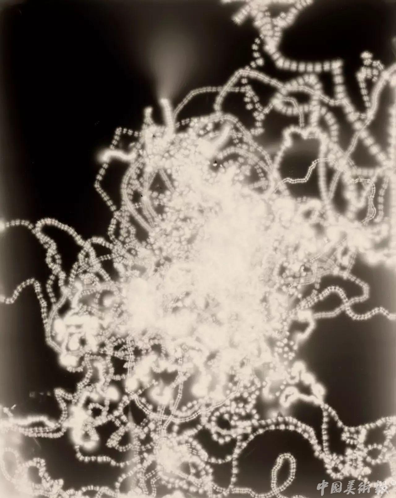 影像留住时间,影像收藏格局