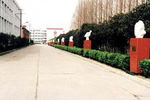 那些年我的校园往事,那些年我的读书生活