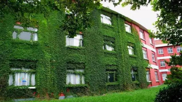 深圳新建学校发展前景,深圳市现有15所大学