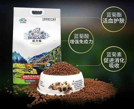 盘点宠物市场上常见的狗粮品牌，买狗粮的时候不再盲目