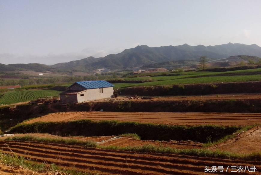 农村机动地到期该怎么处理,农村预留机动地的最新政策