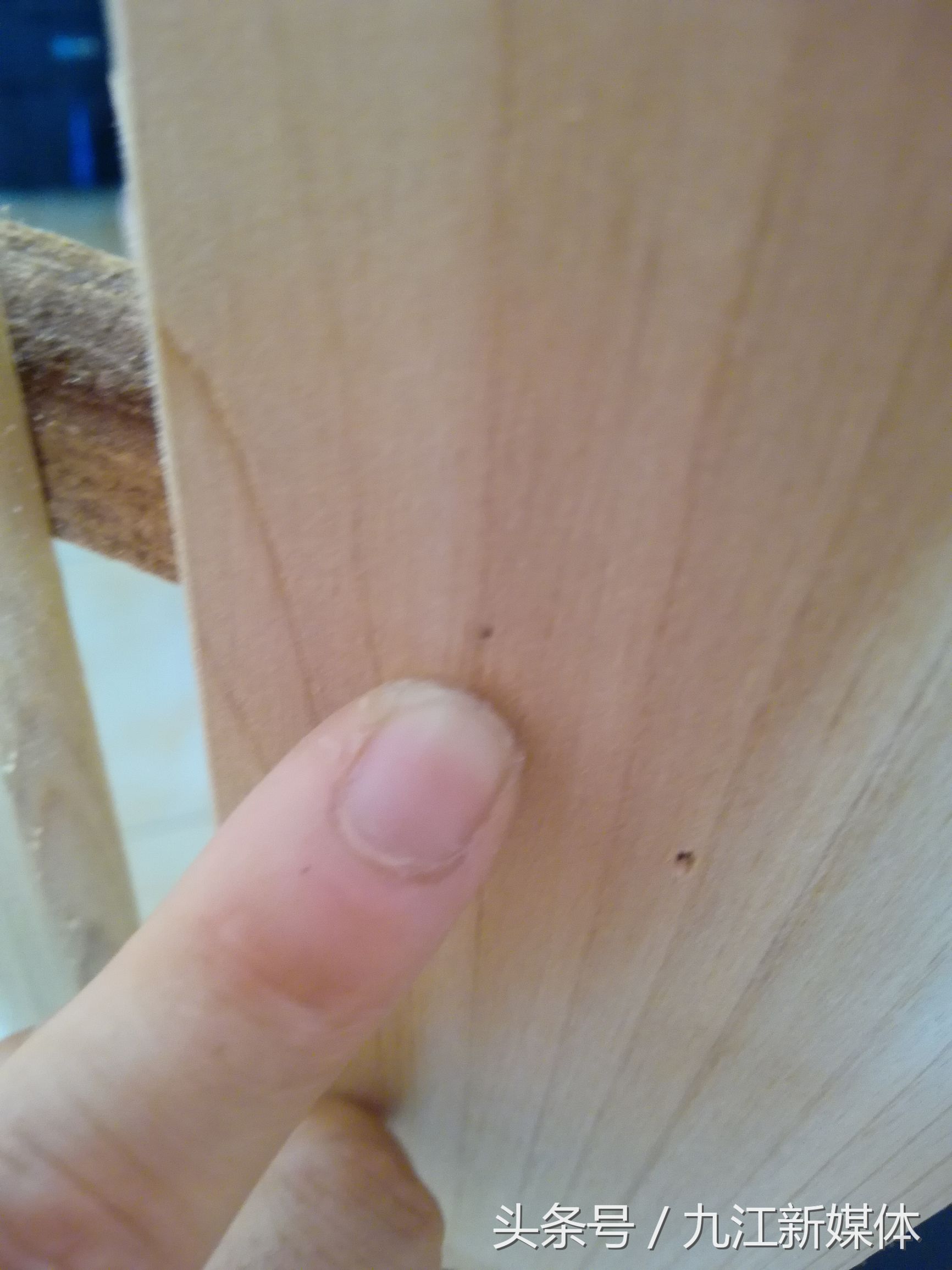 床上出现可怕的虫子,九江出现大量虫