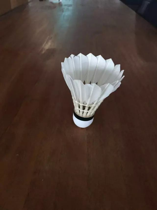 从*片毛**、球头、胶水和工艺,来判断羽毛球的质量,是最可靠的方法