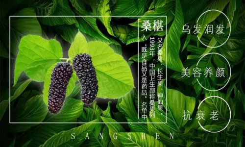 名老中医桑葚酒的功效与作用,桑葚鲜果酒的功效