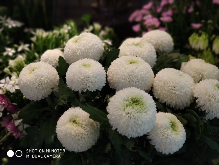 高颜值的拍照旗舰小米Note3拍照以及性能到底如何？