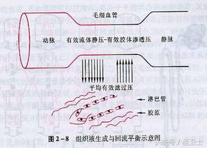 哪种水肿是肾病导致的？肾病水肿该怎么治？