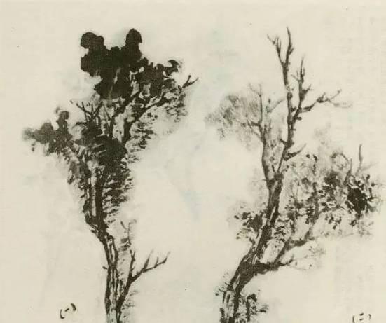 山水画画树的教学视频,山水画基础画树技法合集