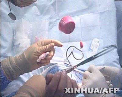 探秘中国中医药,深度揭秘中医药