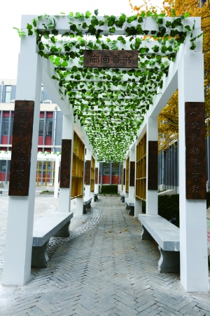 晨报发现寻找朝阳最美校园之府学胡同小学朝阳学校