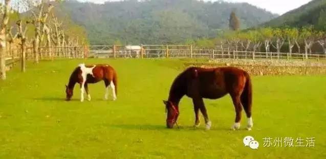 实力预测！2016年苏州即将大爆发的六大板块，没买房的赶紧看过来！