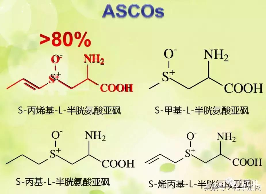 2017年诺贝尔搞笑奖奖金,搞笑诺贝尔奖科普