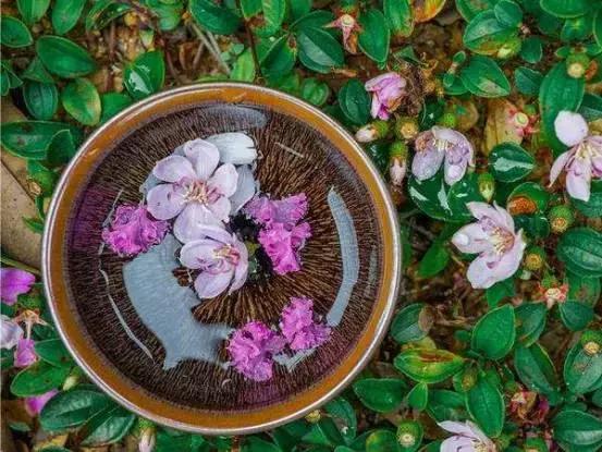 我们在原乡,垂钓一尾活着的暖光|我的原乡与旅郡