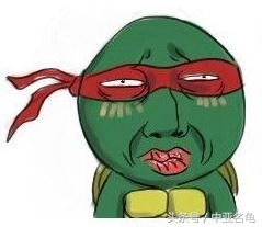 秋天龟龟到家怎么处理,秋季乌龟生病怎么处理