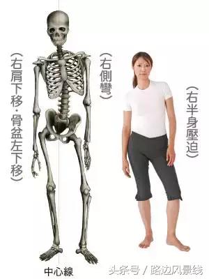 骨架平衡整脊术价目表,骨架平衡手法