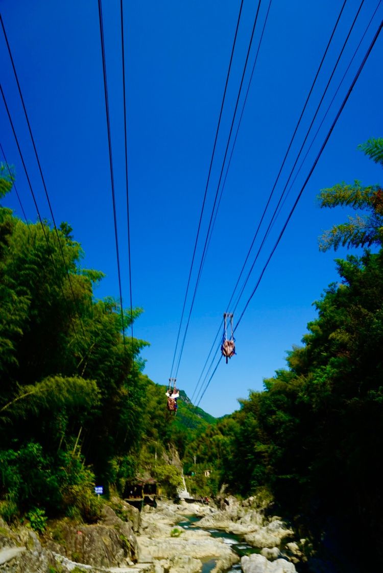 温州三八节免费景点,三八节好玩的地方温州